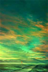 我被鲤鱼前夫捏碎内丹后，三界迎来了灭顶之灾全集小说