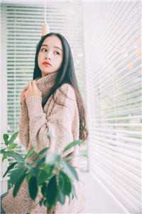 司机儿子的女友是豪门千金精品全集