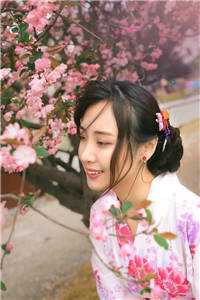 长夜与风说：全文+后续广告+结局