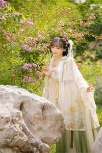 八零年代，离婚后易先生追妻悔断肠小说结局