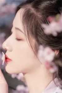 行至爱意消散处快手