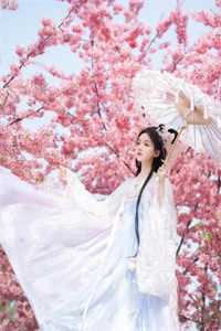 四合院：人生赢家许大茂！：许大茂娄小娥番外笔趣阁全章节