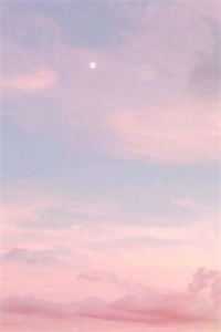 从此繁星依旧异常火爆