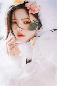 当年明月难寻完结文