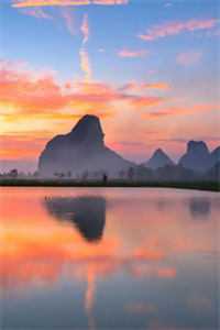 为你着迷顾瑾连载