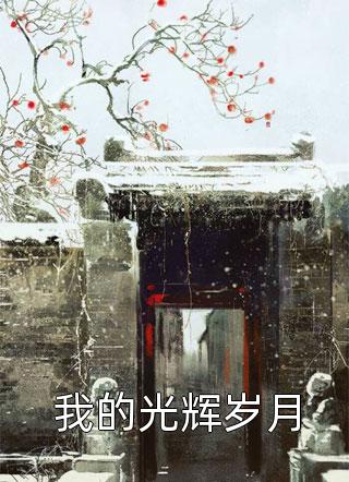 黎念贺迟宴：结局+番外无删减全文