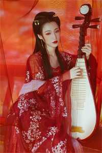 君向潇湘我向秦乔絮晚谢洲白完结版免费在线阅读