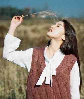 穿越：我在神雕世界当霸主郭芙杨过完结版免费在线阅读