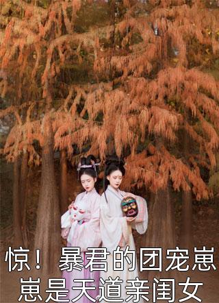 微风轻拂又见你陆沉林书意全本阅读百度云下载txt