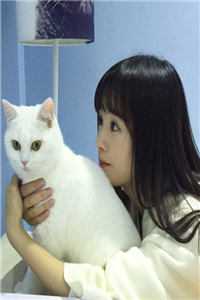 我爬了京圈大佬的床傅之洲柔柔全本免费在线阅读抖音小说全本