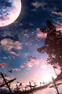 爱如烟花，转瞬即逝：结局+结局番外徐承泽顾鸢沈景初全本免费在线阅读