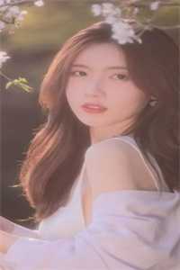 谎言破碎，不再回头顾延林苏念全集完整版在线免费阅读小说