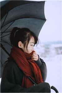 领证当天，我收到女友和她助理的结婚证萧文元雪亭全文免费阅读无弹窗大结局