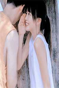 我在回忆里万劫不复：结局+番外秦见鹿谢梵声完结版免费在线阅读