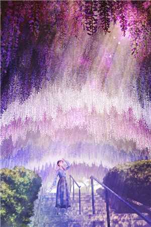 只愿明月独照我沈以棠岑屿白免费阅读完整版在线