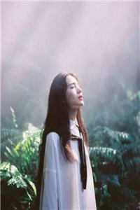 奈何情深不渡：+后续+结局免费最新章节免费阅读