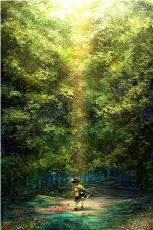 丁克十年，总裁老公迎回白皮双胞胎白奕君顾雨茉免费小说在线阅读全集
