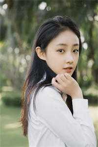 爱已离港谢婉婉沈渡全文在线阅读精彩小说