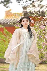 一场大梦一场空陆泽远秦婉清最新章节在线阅读