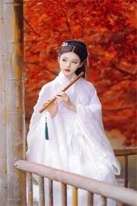 忘川河畔忘相思晏卿离玄夜已完结小说最新章节免费在线阅读