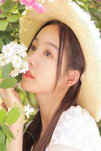 坠落的日光沈馨梁奕辰免费完本小说在线阅读