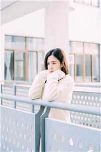 爱恨倾覆，京都花落苍雅沈景泽全章节免费在线阅读