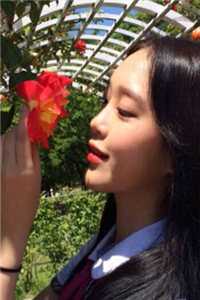 落花不折枝，你我不相见程岁安温叙言完结版全本小说在线阅读