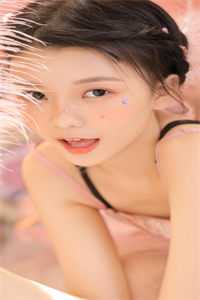 爱已离港谢婉婉沈渡最新章节完整版无删减在线阅读