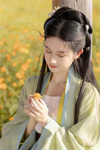 入赘首富家的班草把我关进狗笼，却不知我是首富太爷爷班草婉晴最新章节阅读全章节免费在线阅读