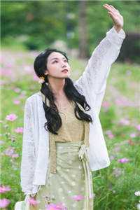 顶A总裁夜夜追妻沈棠梨陆衔舟全文在线阅读精彩小说