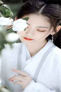 我养的当然是我亲女儿白雅思江归嘉全本免费在线阅读