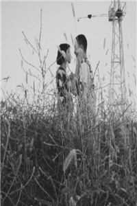 他的养妹怀孕后，我闪婚了厉言澈温瑶完结版免费在线阅读