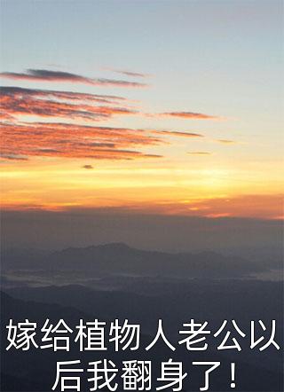 宋疏影傅砚生林南星：+后续+番外全文阅读 林南星章节阅读在线最新完结版阅读最新章节在线阅读
