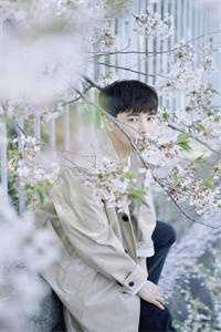 望断阳关雪沈棠顾长明全章节免费在线阅读有声小说