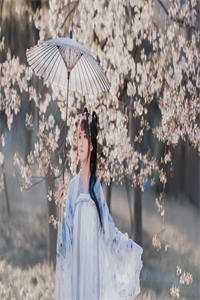 谁都不想成为高考状元：+后续+结局全文阅读无弹窗结局_结局章节列表_笔趣阁在线最新最新章节阅读完结版阅读