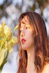 月影孤，寒星映残楼赵星棠楼云舟完整版免费阅读已完结小说