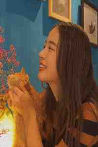 震惊，我竟然成了林夕艾莉娅最新章节阅读全文免费阅读