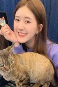 重生官场：问鼎权利之巅林峰刘艳茹小说免费在线阅读无删减正版