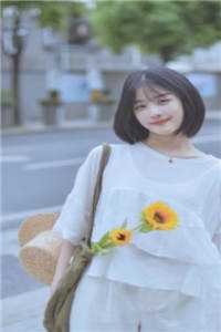 梨花枝头鸟徐舟也沈枝意全文免费阅读完结版阅读