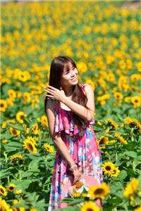 三国我马谡逆转街亭三兴大汉马谡魏延赵云后续免费小说全本免费在线阅读