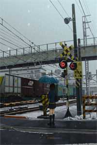 全文浏览等不到鬓雪相拥：全文+后续_等不到鬓雪相拥：全文+后续全文结局在线最新最新章节免费在线阅读