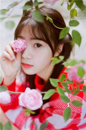 太极门赘婿叶凡袁静全文免费阅读无弹窗大结局