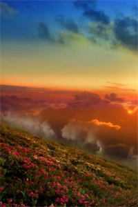 拾云为笺焚风作别：结局+番外姜知月周景珩郁萌最新章节在线阅读